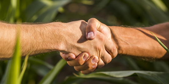Reunião de Produtores